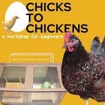 Chicks to Chickens - a Fundraiser Workshop