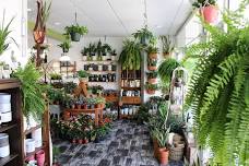 Houseplants 101 - Wednesday April 24th, 6:30pm - 8:30pm