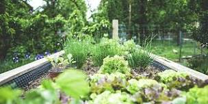 Make Your Own Herb Garden Workshop