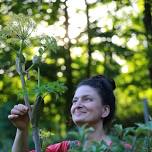 Summer Wild Harvest: Sharing Mother Nature's Bounty Edible & Medicinal Plant Walk with Dina Falconi — Foraging and Feasting