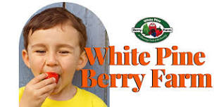 White Pine Berry Farm | Special Event