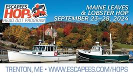 Maine Leaves and Lobster HOP 2024