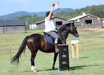 Working Equitation Fun Day