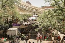 33rd Billings Strawberry Festival