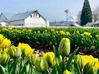 Baby Animals & Blooms at Maris Farms!