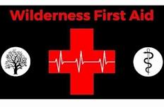 Wilderness and Remote First Aid