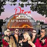 Diva and the Playboys @ Walnut Hill Park 7/10/24!