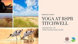 Yoga at RSPB Titchwell Marsh