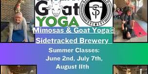 Mimosas and Goat Yoga @ Sidetracked Brewery: August 11th 2pm