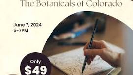 Ink Drawing - The Botanicals of Colorado