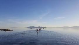 Great Salt Lake Open Water Swim