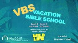 Wild Life VBS