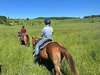 Intermediate to Advanced Group Trail Ride