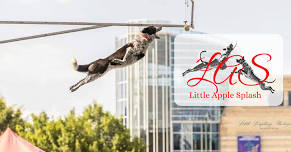 DockDogs® Little Apple Splash