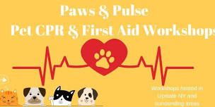 Pet CPR & First Aid Workshop