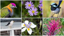 Smalti Workshop - Native Flora and Birds