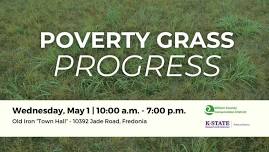 Poverty Grass Progress