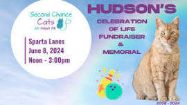 Hudson's Celebration of Life - Fundraiser and Memorial