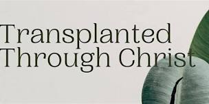 Transplanted Through Christ