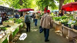 Tuesday Healdsburg Farmer’s Market 2024