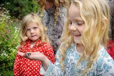 Nature Tots seasonal specials - fluttery fun with butterflies and moths