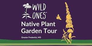 Wild Ones Native Plant Garden Tour