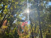   LET’S GO HIKE ‍♀️AT THE BLACK SHOALS NATURE  TRAIL 