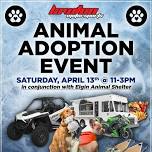 Animal Adoption Event (w/ Elgin Animal Shelter)