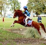 Tinwald Pony Club XC Course Open Afternoon