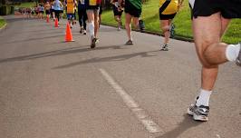 Buffalo Stampede Trail Festival