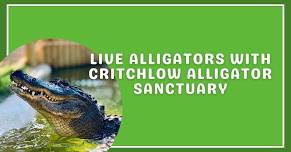 Live Alligator Adventure