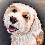 Paint your Pet | Paint Party | Cadillac – Registration Closes 5/20