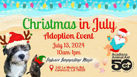 Christmas in July: Adoption Event