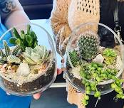 Cacti & Succulent Terrarium Workshop @ Recon (Meeder)