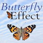 Butterfly Effect