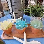 Seaglass Succulent Workshop