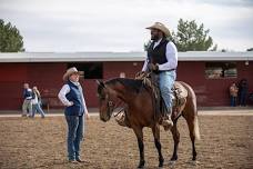 Colorado Horse Sale - Montrose