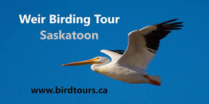 Saskatoon Weir Bird Tour 2024