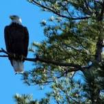 Half Day Kayak Rental on Sebago Lake