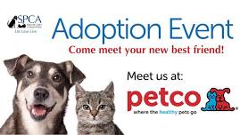 PetCo Adoptions