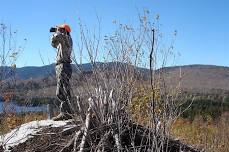 Moose Hunting in Maine