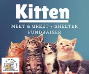 Kitten Meet & Greet + Shelter Fundraiser