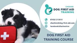 Dog First Aid Training - with Lisa - Winsford, CW7 2HG - £59.50