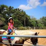 Mom & Me Pony Camp