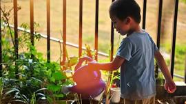 Home Gardening Guide in Mandarin