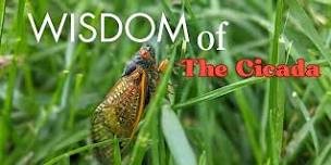 Breath Alchemy: Wisdom of the Cicada