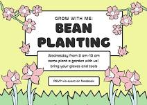 GROW WITH ME: BEAN PLANTING