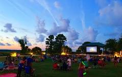 MOVIE NIGHTS IN THE PARK