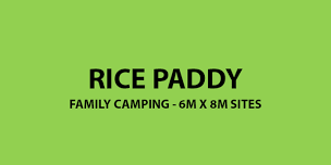 Rice Paddy