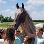 Animal Camp June 3-7